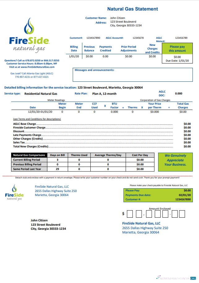 download USA California FireSide natural gas utility bill template in Word and PDF format PDF template